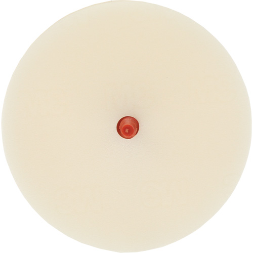 Disque pour enlever les bandes et les adh&eacute;sifs pour moulures Scotch-Brite, 4" dia. Ontario Packaging