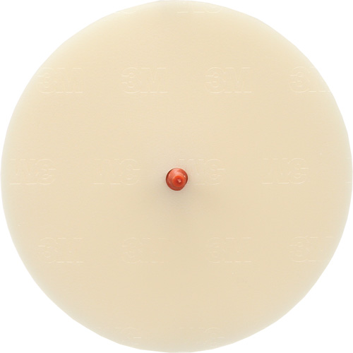 Disque Scotch-Brite 7502 pour retrait de colle et de bandes de moulage, 6" dia. Ontario Packaging
