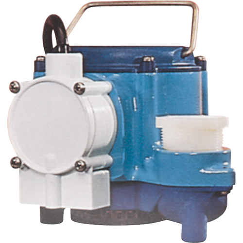 Pompes submersibles, 1/3 CV, 46 gal./h, 115 V, 9 A Ontario Packaging