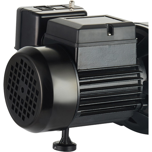 Dual Voltage Cast Iron Shallow Well Jet Pump, 115 V/230 V, 1100 GPH, 1 HP Ontario Packaging