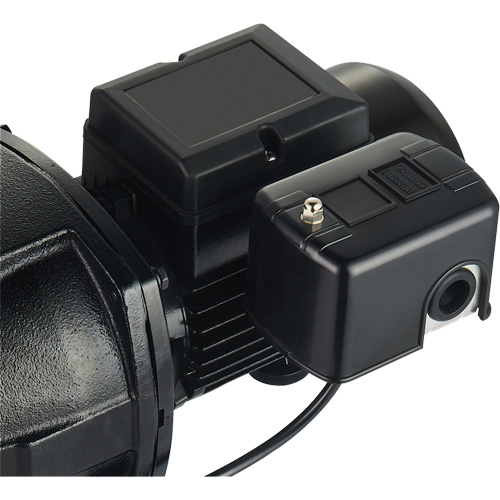 Dual Voltage Cast Iron Shallow Well Jet Pump, 115 V/230 V, 1100 GPH, 1 HP Ontario Packaging