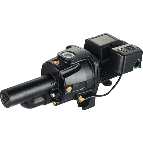 Dual Voltage Cast Iron Convertible Jet Pump, 115 V/230 V, 1100 GPH, 1/2 HP Ontario Packaging