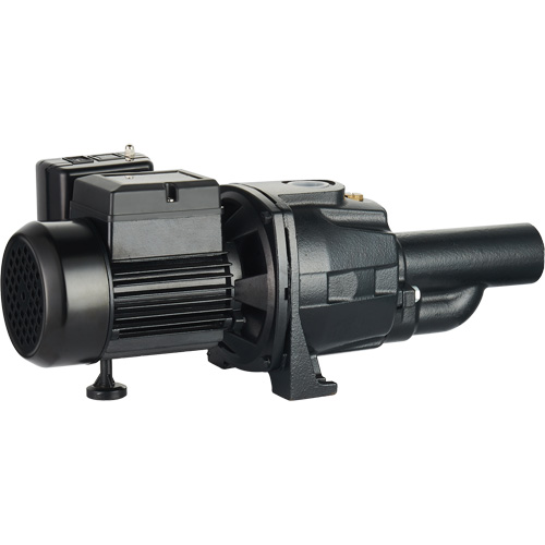 Dual Voltage Cast Iron Convertible Jet Pump, 115 V/230 V, 1100 GPH, 1/2 HP Ontario Packaging
