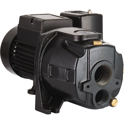 Dual Voltage Cast Iron Convertible Jet Pump, 115 V/230 V, 1100 GPH, 1/2 HP Ontario Packaging