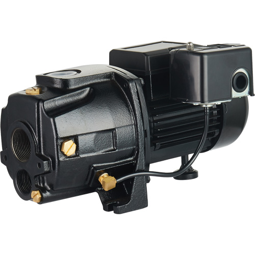 Dual Voltage Cast Iron Convertible Jet Pump, 115 V/230 V, 1100 GPH, 1/2 HP Ontario Packaging