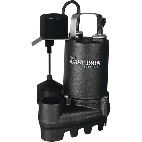 Cast Iron Submersible Sump Pump with Vertical Float Switch, 67 GPM, 33 V, 5 A, 1/3 HP Ontario Packaging