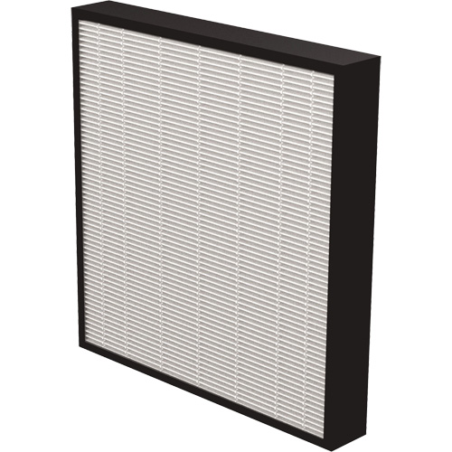 AeraMax&reg; Pro AM3 & AM4 2" True HEPA Filter, Box, 13.75" W x 2.25" D x 14.38" H Ontario Packaging