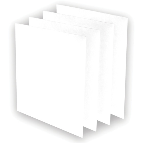 AeraMax&reg; Pro AM3 or AM4 Pre-Filters, 13.75" W x 0.13" D x 14.38" H Ontario Packaging