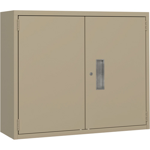 Armoire murale, Acier, 2 Tablettes, 30" h x 36" la x 12" P, Beige Ontario Packaging