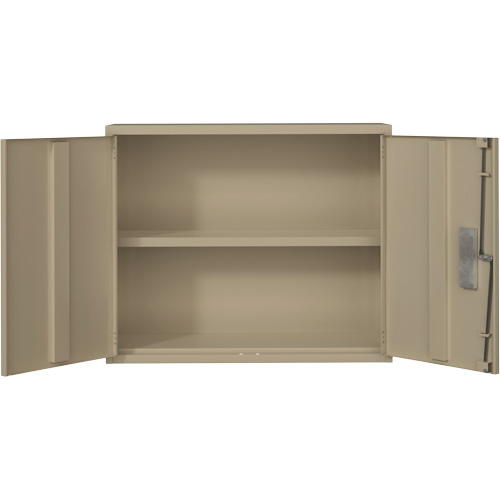 Armoire murale, Acier, 2 Tablettes, 30" h x 36" la x 12" P, Beige Ontario Packaging