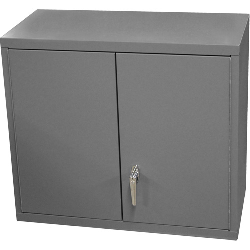 Armoire murale, 27" h x 13-11/16" la x 35-7/8" p, 2 tablettes, Acier, Gris Ontario Packaging