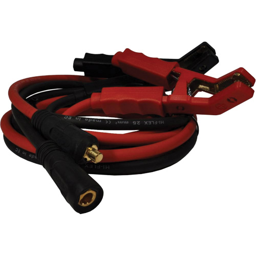 100 A High-Power Smart Charger with Inverter Technology Ontario Packaging