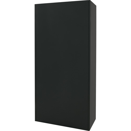 Combination Storage Cabinet, 36" W x 18" D x 72" H, Black Ontario Packaging