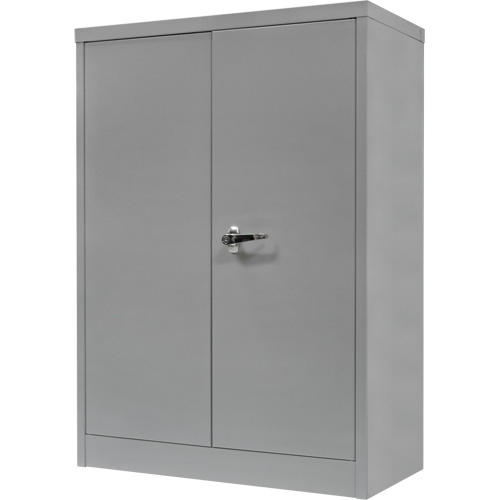 Armoire de rangement &agrave; hauteur de comptoir, Acier, 2 Tablettes, 42" h x 30" la x 15" P, Gris Ontario Packaging