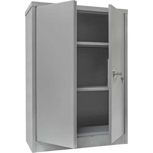 Armoire de rangement &agrave; hauteur de comptoir, Acier, 2 Tablettes, 42" h x 30" la x 15" P, Gris Ontario Packaging