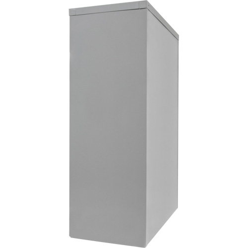 Armoire de rangement &agrave; hauteur de comptoir, Acier, 2 Tablettes, 42" h x 30" la x 15" P, Gris Ontario Packaging