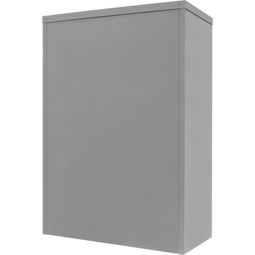 Armoire de rangement &agrave; hauteur de comptoir, Acier, 2 Tablettes, 42" h x 30" la x 15" P, Gris Ontario Packaging