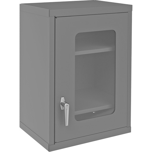 Armoire de rangement murale avec portes transparentes, 26-15/16" h x 18-1/8" la x 13-11/16" p, 2 tablettes, Acier, Gris Ontario Packaging