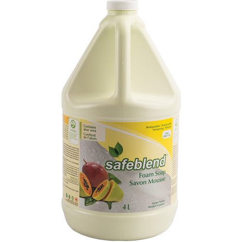 Hand & Body Soap, Foam, 4 L, Scented Ontario Packaging