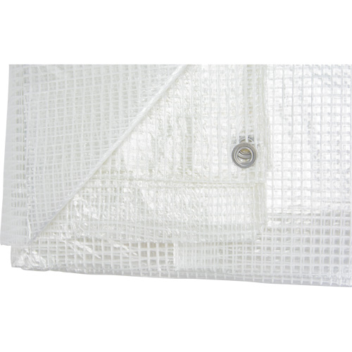 B&acirc;ches transparentes, 60' x 40' x 8 mils Ontario Packaging