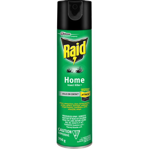 Raid&reg; Home Insect Killer, 350 g, Solvent Base Ontario Packaging