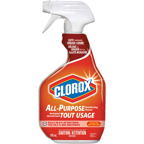 All-Purpose Disinfecting Cleaner Spray, 946 ml, Trigger Bottle Ontario Packaging