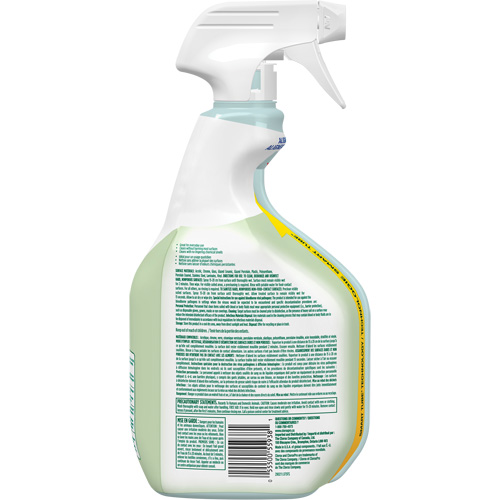 CloroxPro Clorox EcoClean Disinfecting Cleaner, 946 ml, Trigger Bottle Ontario Packaging