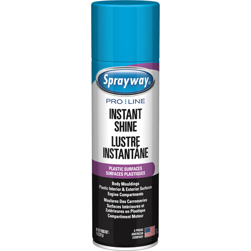 Pro Line Instant Shine for Plastic Surfaces, 11 oz., Aerosol Can Ontario Packaging