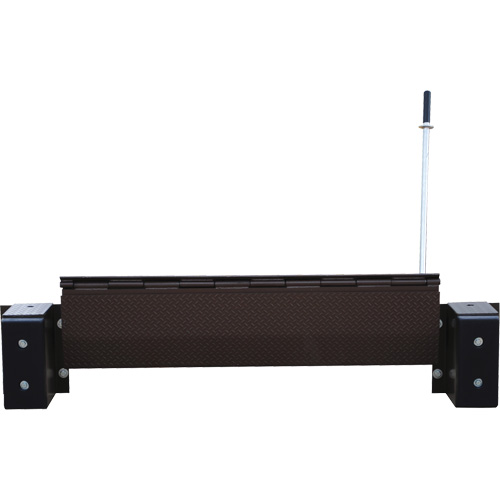 Mechanical Edge-O-Dock Leveler, 99" W, 72" Deck Width, 29" Span Ontario Packaging