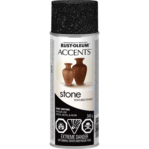 Accents&reg; Stone Creations Spray Paint, Aerosol Can, Black Granite Ontario Packaging