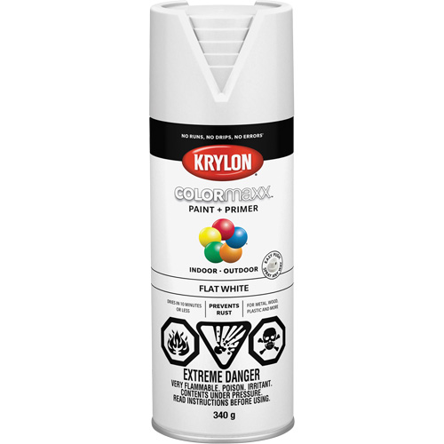 COLORmaxx Paint + Primer, White, Very Flat, 12 oz., Aerosol Can Ontario Packaging