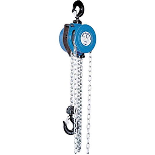 Tralift&reg; Manual Chain Hoist, 10' Lift, 4000 lbs. (2 tons) Capacity, Grade 80 Chain Ontario Packaging