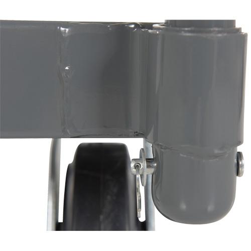 Platform Truck, 48" L x 24" W, 2000 lbs. Capacity, Rubber Casters Ontario Packaging