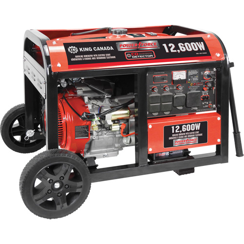 Gasoline Generator with Electric Start, 12600 W Surge, 9000 W Rated, 120 V/240 V, 31 L Tank Ontario Packaging