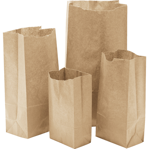 Paper Bags, Paper, 5-1/4" W x 10-1/2" L Ontario Packaging