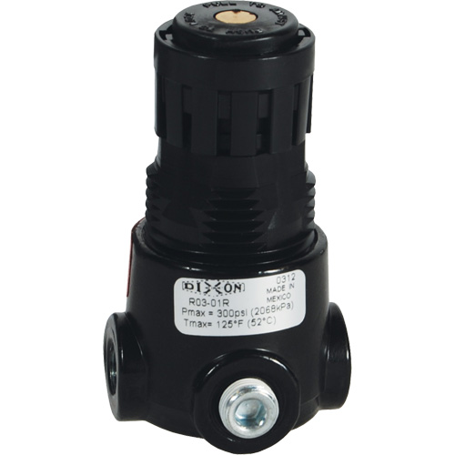 Wilkerson Miniature Regulator R03, 1/8" NPT, 300 psi Max. PSI, Standard Ontario Packaging