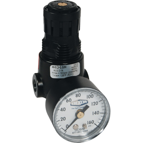 Wilkerson Miniature Regulator R04, 1/4" NPT, 300 psi Max. PSI, Standard Ontario Packaging
