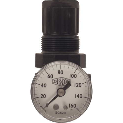 Series 1 Miniature Regulator, 1/8" NPT, 100 psi Max. PSI, Standard Ontario Packaging
