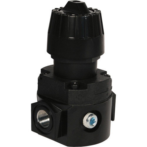 Wilkerson Compact Regulator R16, 1/4" NPT, 300 psi Max. PSI, Standard Ontario Packaging