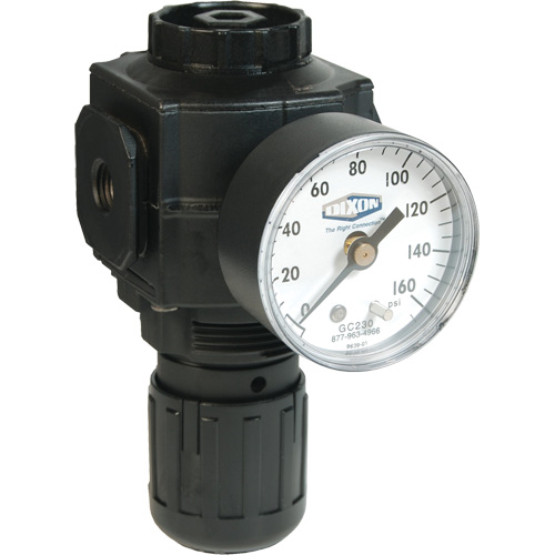 Series 1 Compact Regulator, 1/2" NPT, 150 PSI Max. PSI, Standard Ontario Packaging