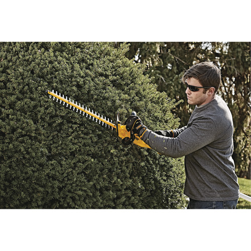Taille-haie MAX*, 22", 20 V, &agrave; pile Ontario Packaging
