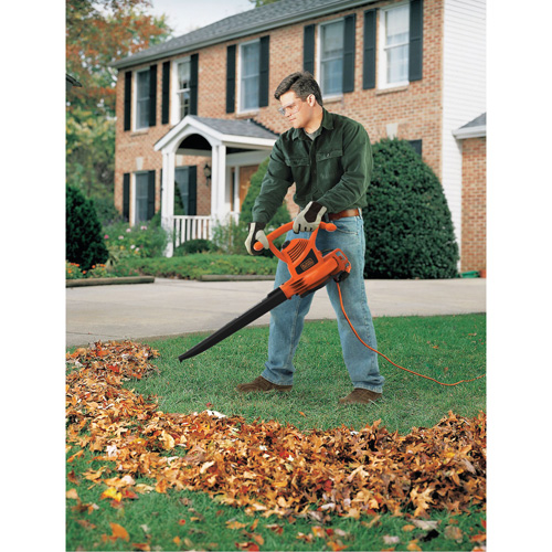 Souffleur/aspirateur/broyeur de feuilles, Vitesse d'air 210 mi/h, &eacute;lectrique Ontario Packaging