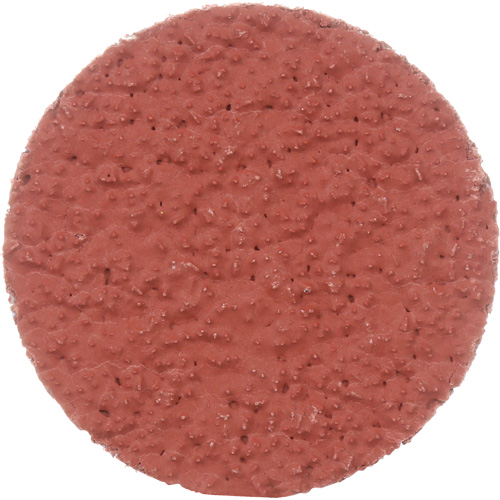 Disque &agrave; d&eacute;ligner durable II Roloc Cubitron, 2" dia., Grain 36+, C&eacute;ramique Ontario Packaging