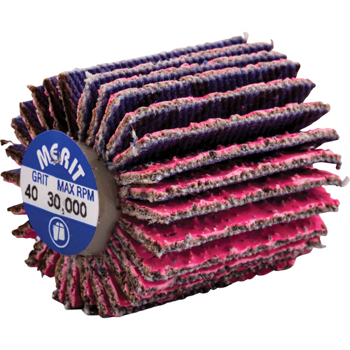 Mini-meule &agrave; lamelles filet&eacute;es, C&eacute;ramique d'alumine, Grain 40, 1" x 1" x 1/4"-20 Ontario Packaging