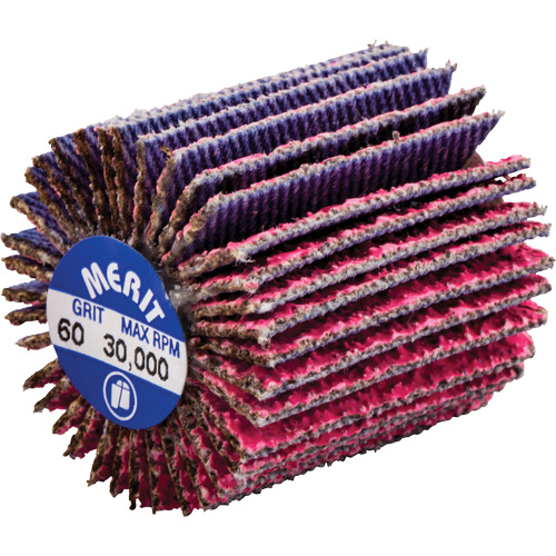 Mini-meule &agrave; lamelles filet&eacute;es, C&eacute;ramique d'alumine, Grain 60, 1" x 1" x 1/4"-20 Ontario Packaging