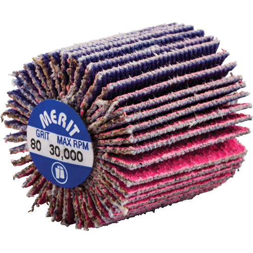 Mini-meule &agrave; lamelles filet&eacute;es, C&eacute;ramique d'alumine, Grain 80, 1" x 1" x 1/4"-20 Ontario Packaging