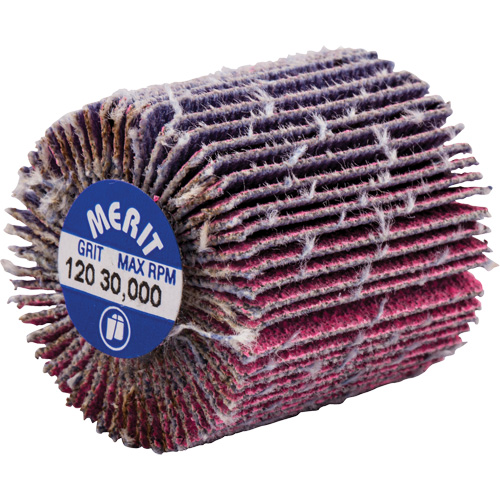 Mini-meule &agrave; lamelles filet&eacute;es, C&eacute;ramique d'alumine, Grain 120, 1" x 1" x 1/4"-20 Ontario Packaging