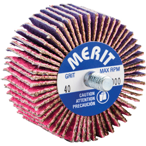 Mini-meule &agrave; lamelles filet&eacute;es, C&eacute;ramique d'alumine, Grain 40, 2" x 1" x 1/4"-20 Ontario Packaging