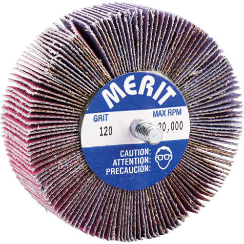 Mini-meule &agrave; lamelles filet&eacute;es, C&eacute;ramique d'alumine, Grain 120, 3" x 1" x 1/4"-20 Ontario Packaging