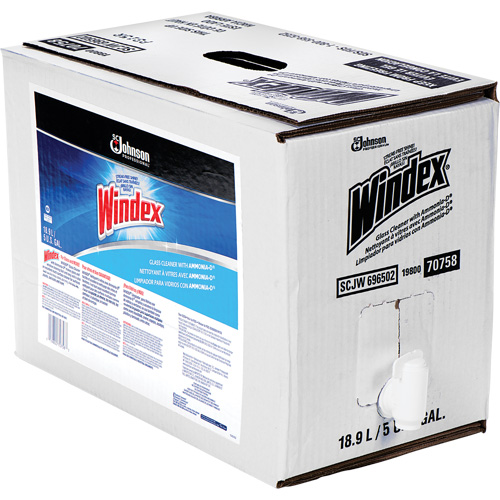 Nettoyant pour vitres Windex avec Ammoniac-D, 5 gal., Sac Ontario Packaging